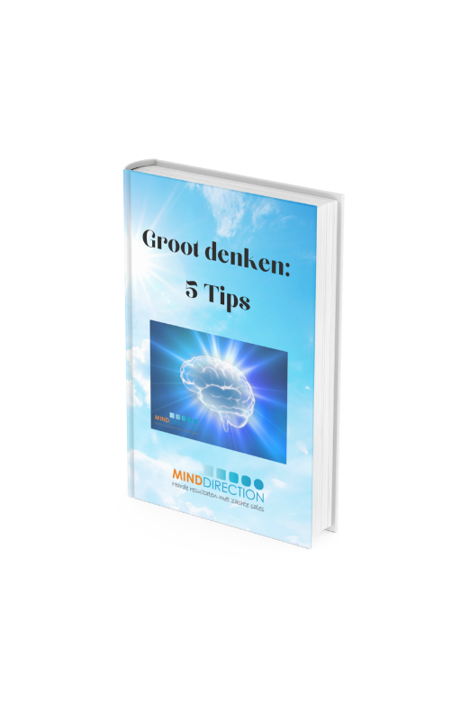 E-book Groot denken, 5 Tips - MindDirection